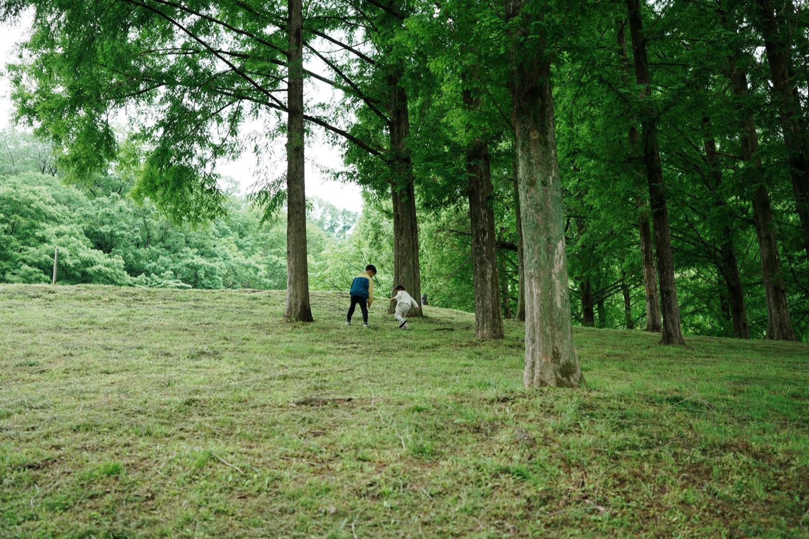 木々の間で遊ぶ子どもたち